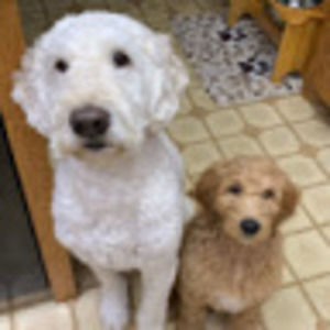 Meet your Posher, Chloe